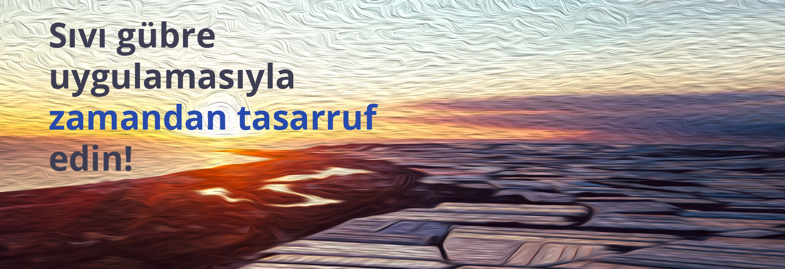 Çiçeklenme Öncesi Zeytin Gübrelemesi: Verimi Artıran Formüller