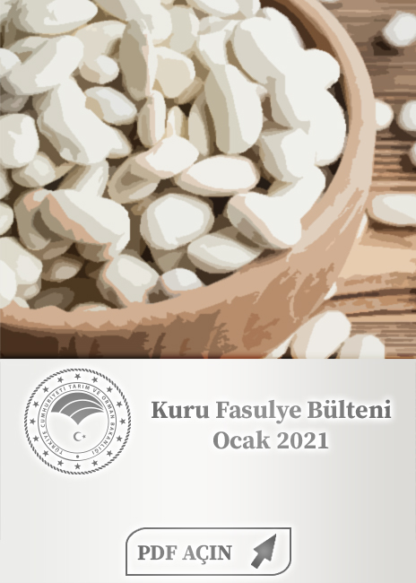 Kuru Fasulye Bülteni