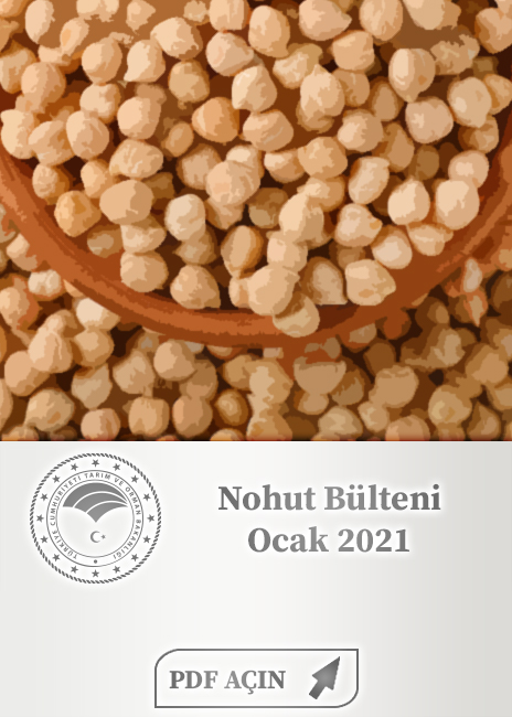 Nohut Bülteni