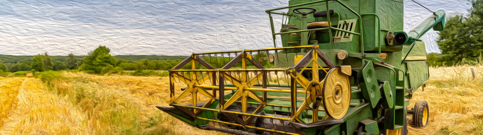 Makaleler Banner
