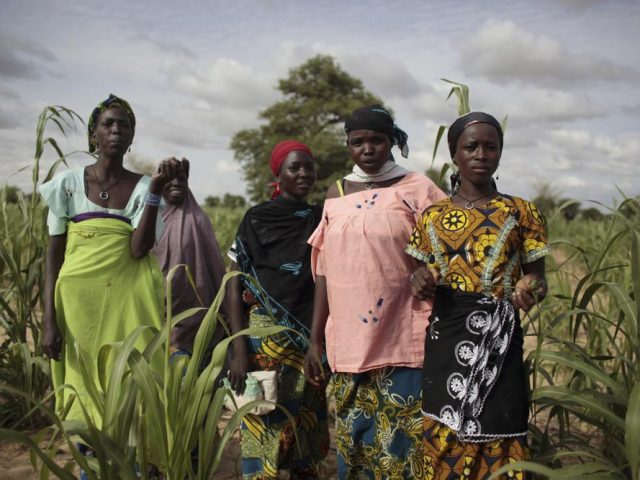 Kenya'da yenilenebilir enerjiden gübre üretim tesisi kurulacak
