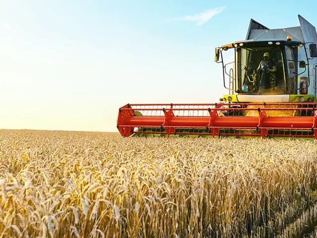 Ticaret kısıtlamaları son on yılın en kötü gıda krizini alevlendiriyor